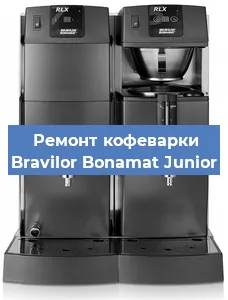 Чистка кофемашины Bravilor Bonamat Junior от кофейных масел в Екатеринбурге